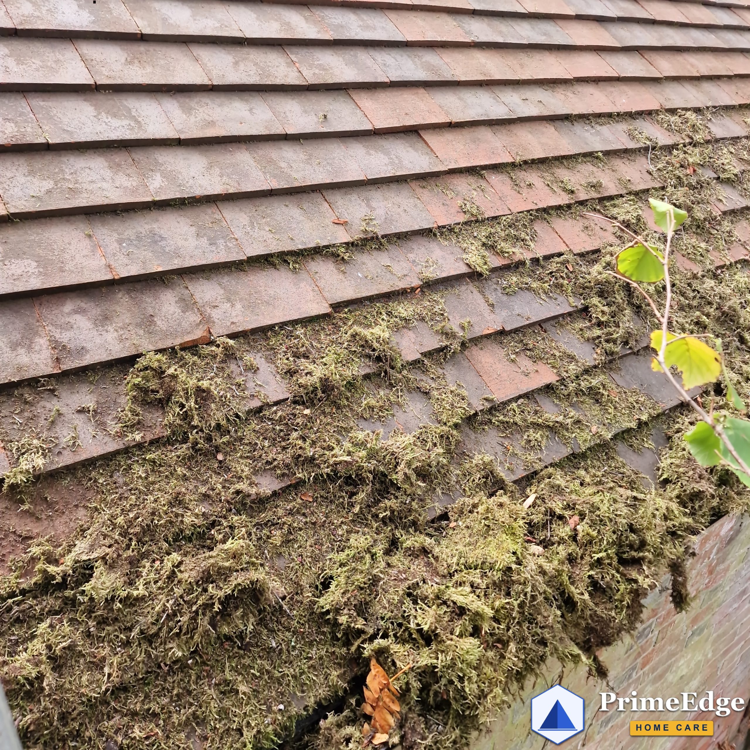 Before: thick moss on clay roof tiles near Mortimer, Berkshire
