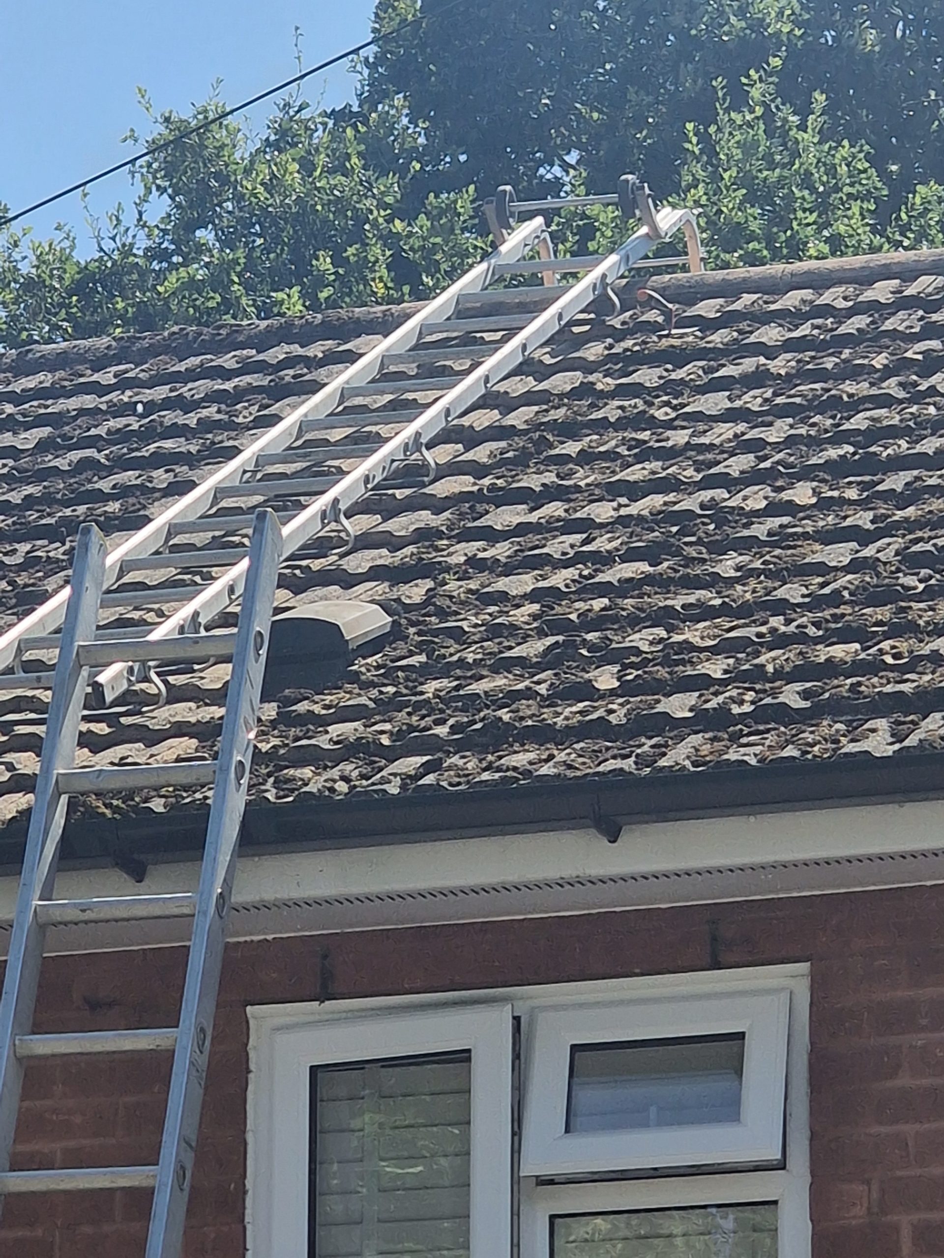 Mossy concrete roof tiles with a roof ladder in place, Berkshire