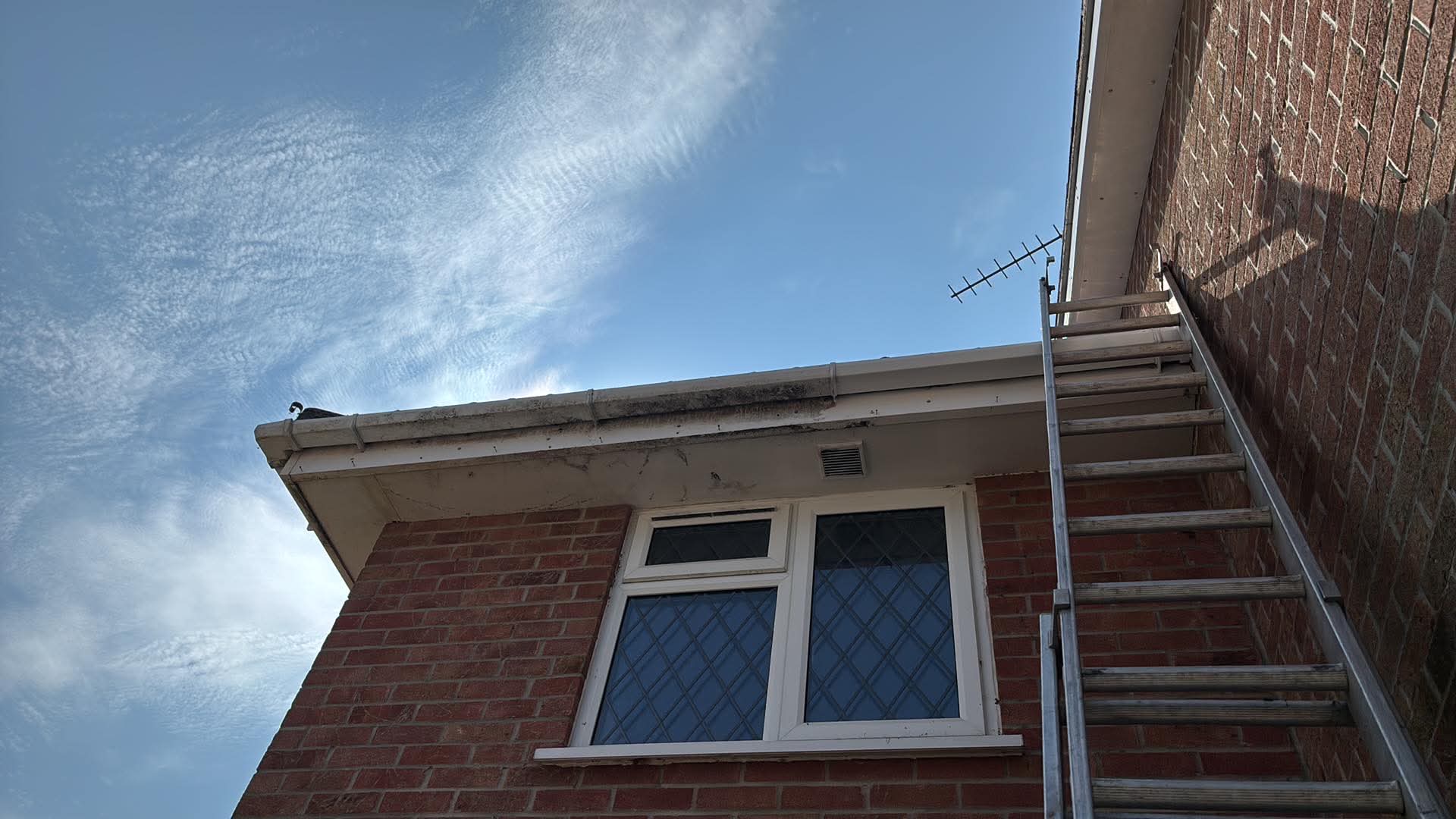 Gutter and fascia on a porch roof in Hampshire