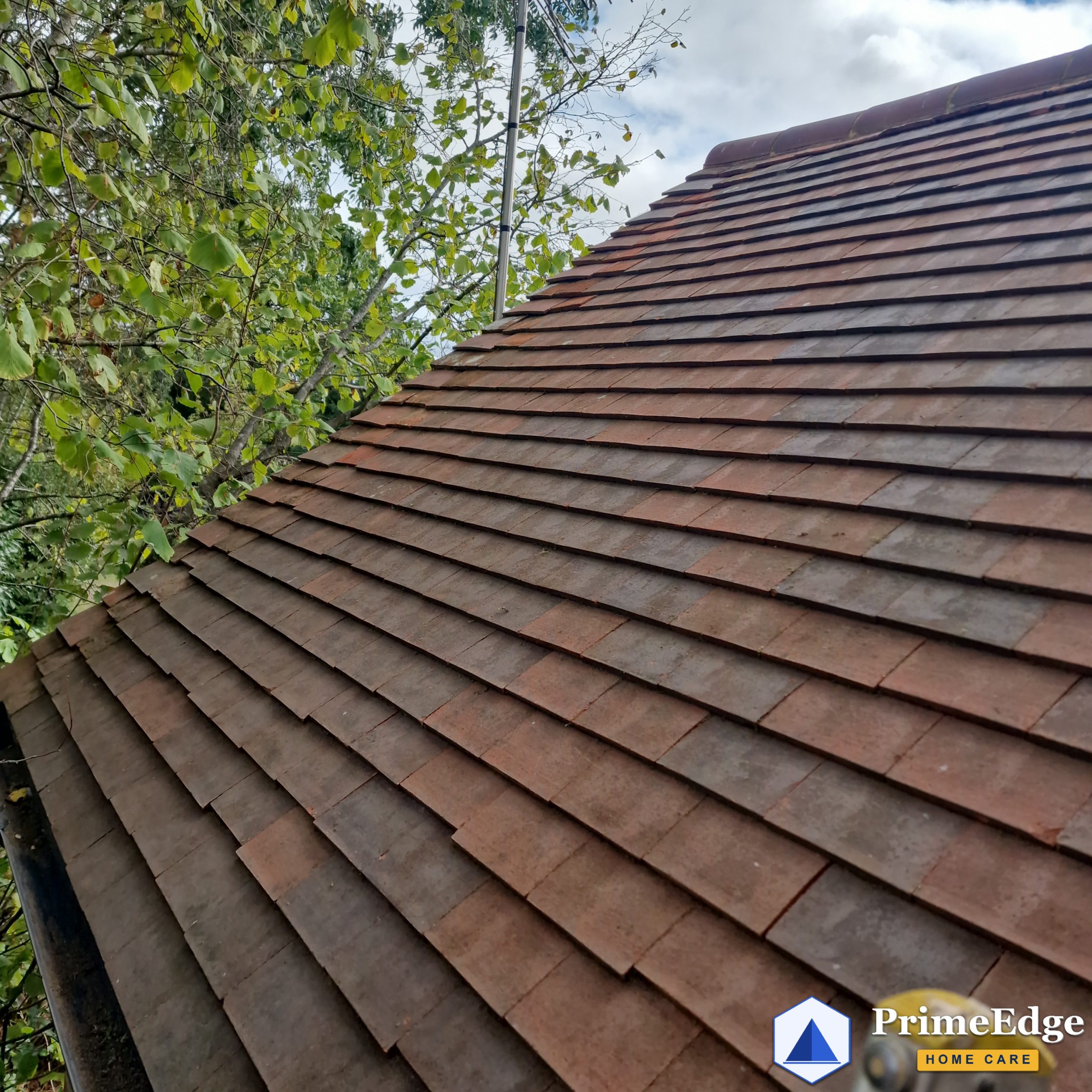 After: the same clay roof cleaned by hand and treated near Mortimer, Berkshire