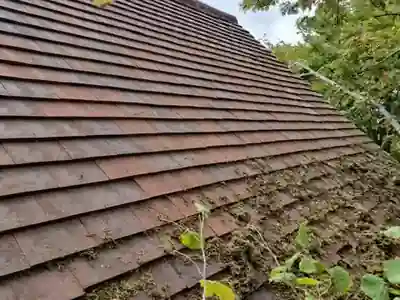 Moss on clay roof tiles under trees near Mortimer, Berkshire