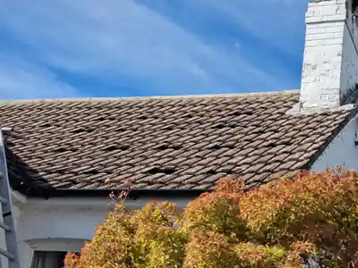 Moss across the tiles of a cottage roof before cleaning in Hampshire